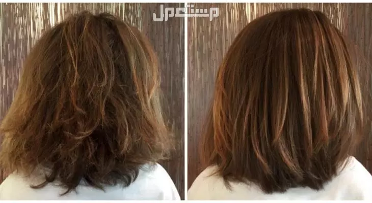 أفضل أنواع بروتين للشعر المصبوغ وكيفية الاختيار الصحيح الشعر بعد البروتين
