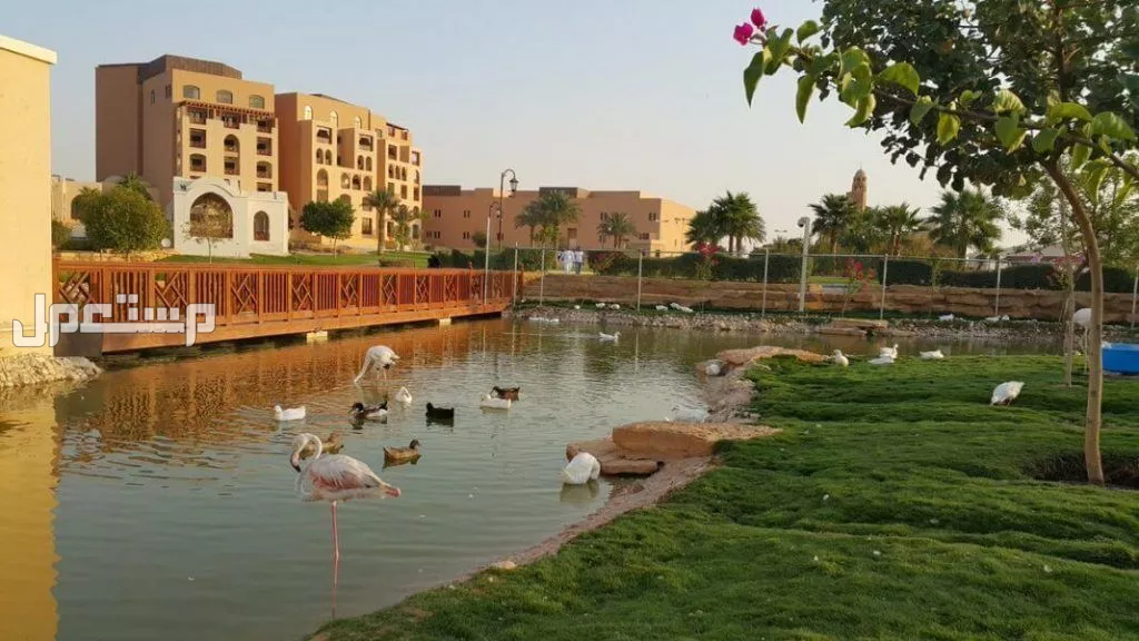 دليلك إلى أغلى حي بالرياض​ للسكن.. أفخم الأحياء الراقية 2025 أفخم عقارات سكنية بالرياض