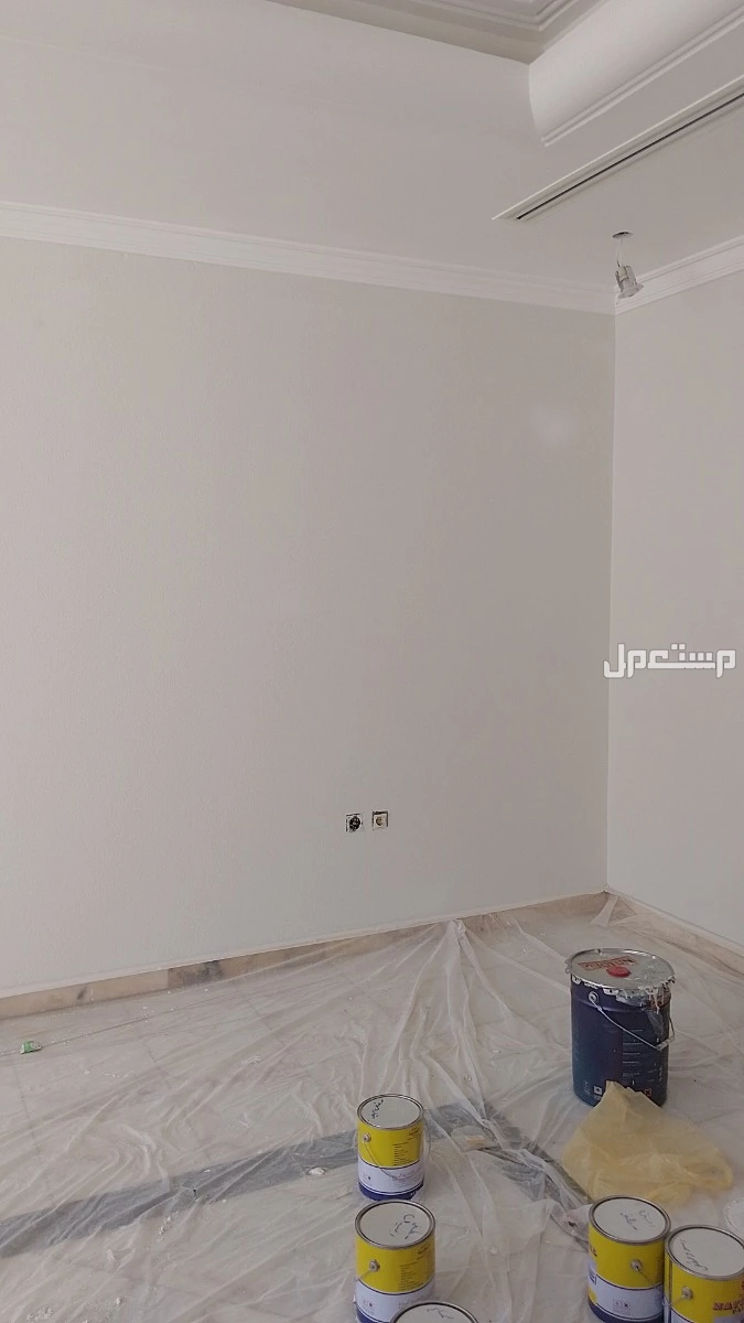 معلم دهانات وديكورات الرياض النرجس