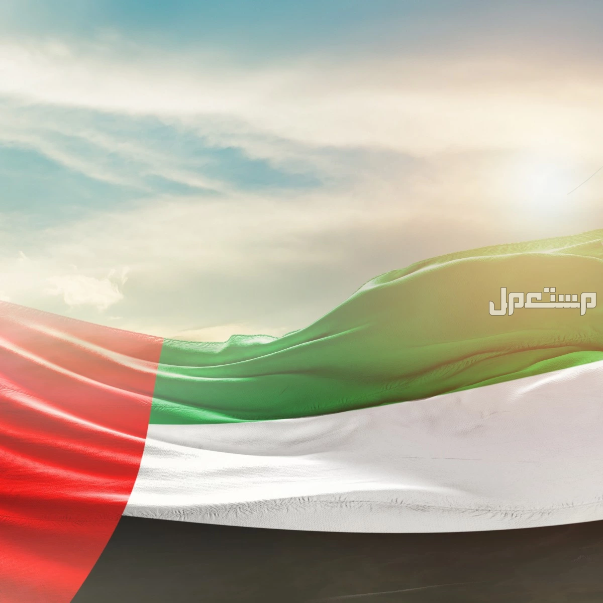 أجمل عبارات تهنئة باليوم الوطني الإماراتي 2024 (صور) اليوم الوطني الإماراتي 53