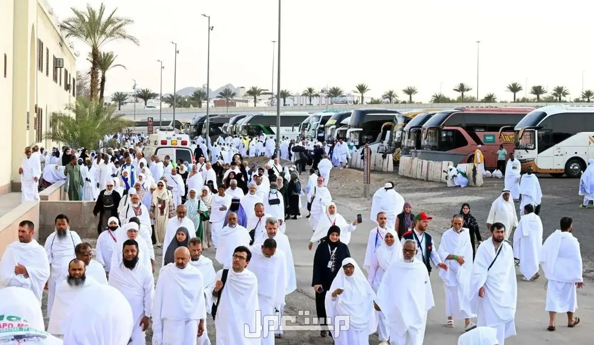 نتائج قرعة الحج 2025 في مصر والفئات الممنوعة من السفر؟ نتائج قرعة الحج 2025 في مصر
