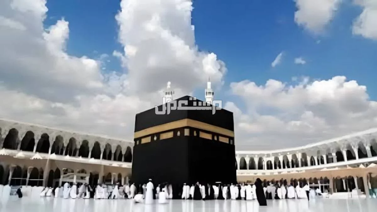 نتائج قرعة الحج 2025 في مصر والفئات الممنوعة من السفر؟ نتائج قرعة الحج 2025