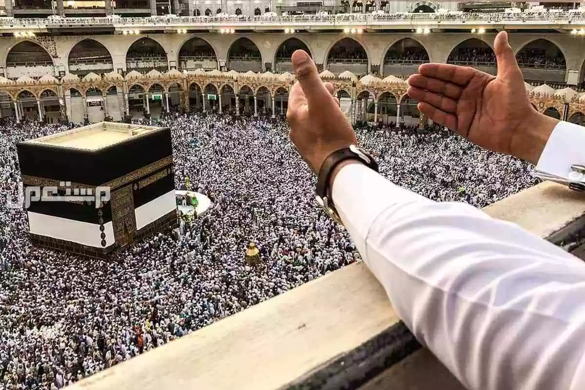 نتائج قرعة الحج 2025 في مصر والفئات الممنوعة من السفر؟ شروط التقديم في قرعة الحج 2025