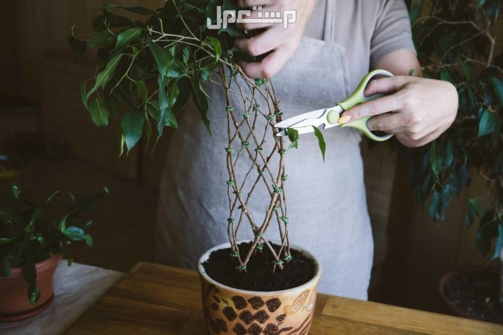 10 طرق لتهوية منزلك وتعطيره في فصل الشتاء 2025 10 طرق لتهوية منزلك وتعطيره في فصل الشتاء 2025