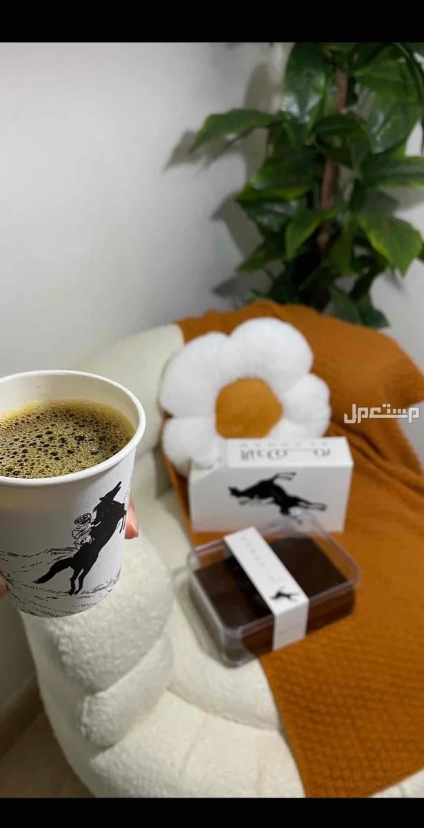 كنبة بوكلية جديده حائل في حائل بسعر 595 ريال سعودي