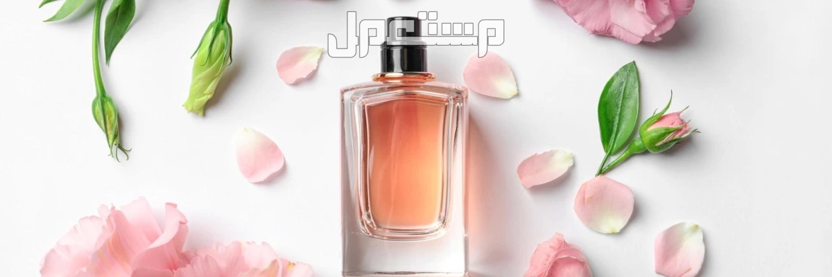 أفضل محلات بيع العطور الأصلية في الرياض 2025 عطور اصلية في الرياض