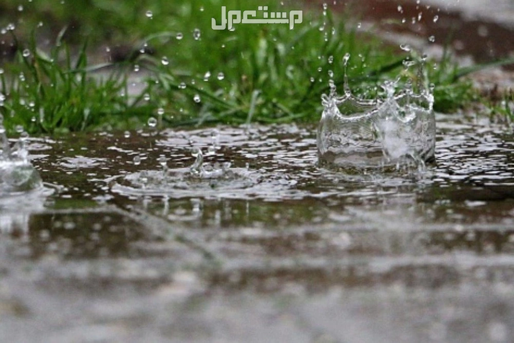 أفضل الأدعية المستجابة والمستحبة وقت نزول المطر أدعية للرزق عند نزول المطر