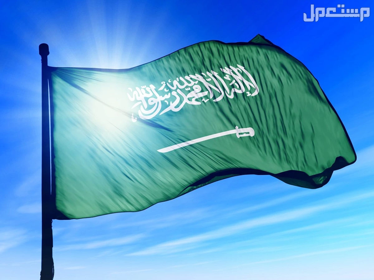 أجمل قصائد عن الوطن قصيرة بالفصحى للإذاعة المدرسية