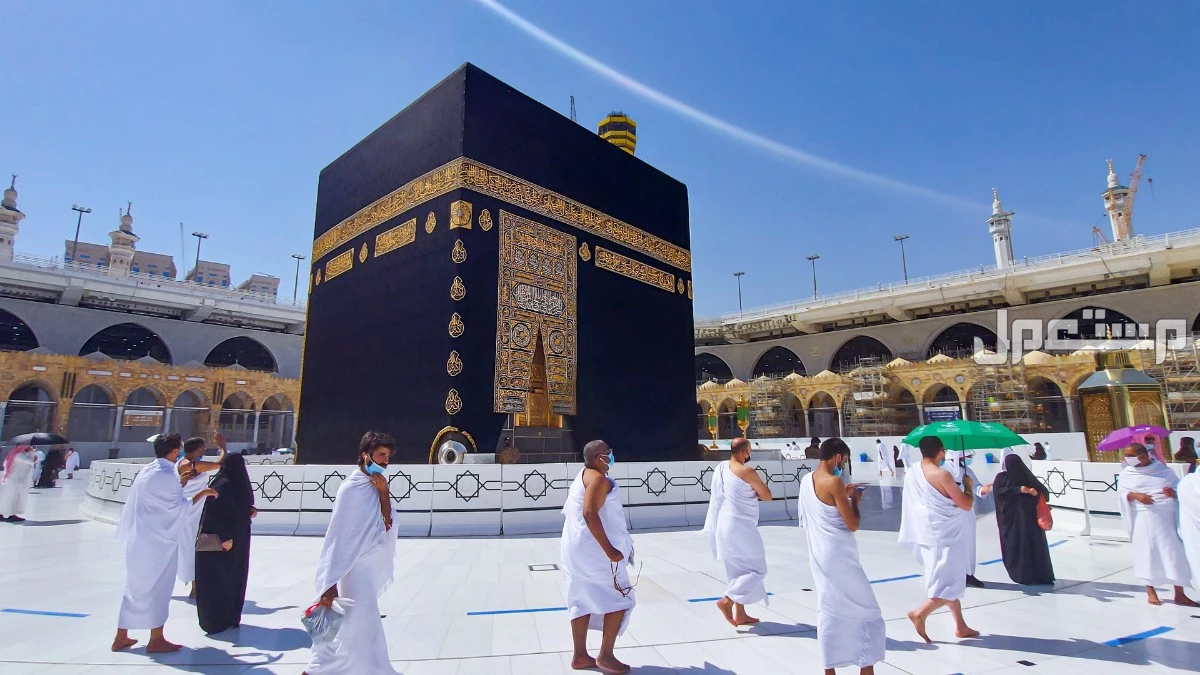 تكلفة حج القرعة 2025 وسعر تذكرة الطيران.. التفاصيل كاملة وشروط التقديم الأوراق المطلوبة للتقديم على الحج بنظام القرعة