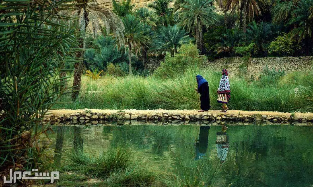أجمل 5 مناطق في سلطنة عمان تستحق الزيارة في 2025 راس الحد