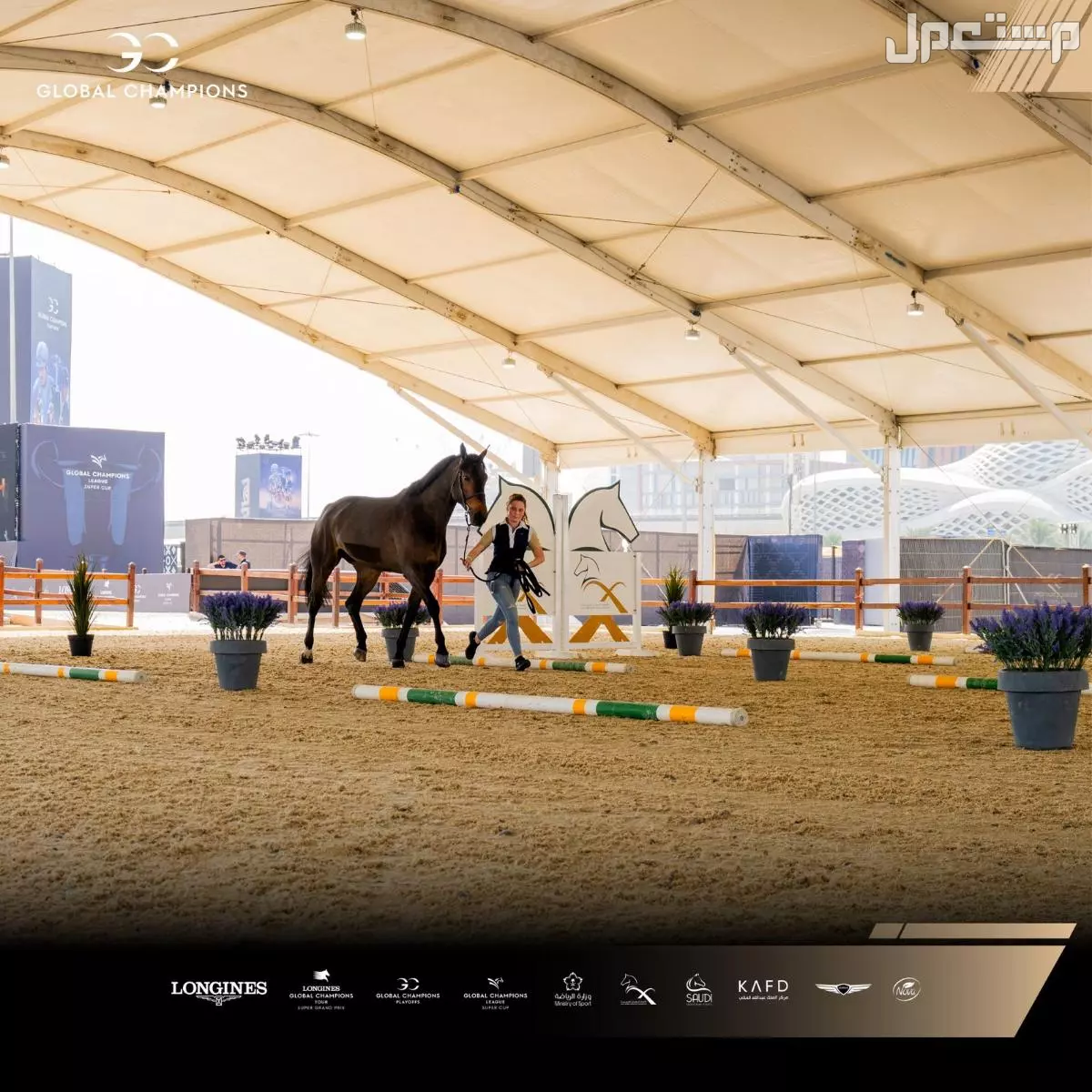 رابط تذاكر بطولة لونجين العالمية لقفز الحواجز في الرياض 2024 بطولة الفروسية في الرياض