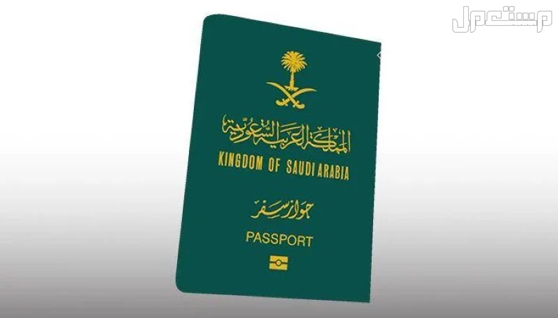 سعر تأشيرة الخروج والعودة في السعودية 1446 رسوم تجديد تأشيرة الدخول والخروج بالمملكة العربية السعودية