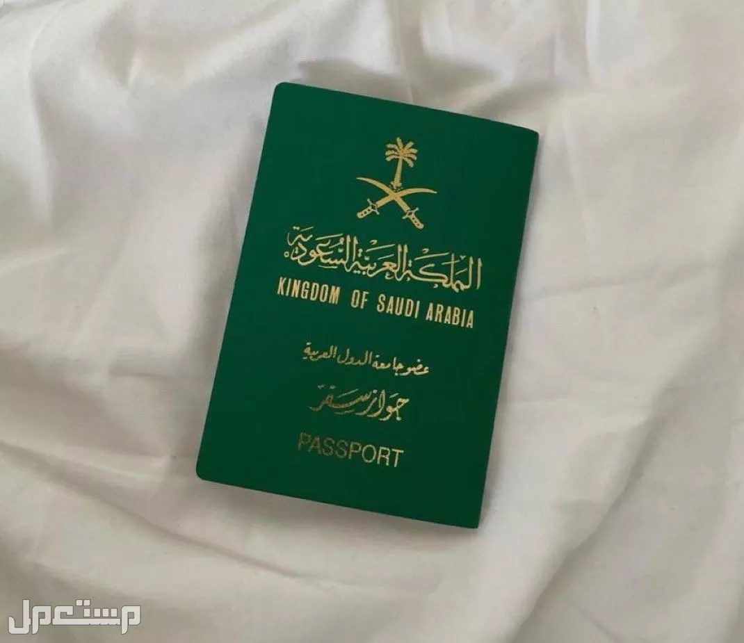سعر تأشيرة الخروج والعودة في السعودية 1446 ما الفرق بين التأشيرة المفردة والمتعددة في السعودية؟