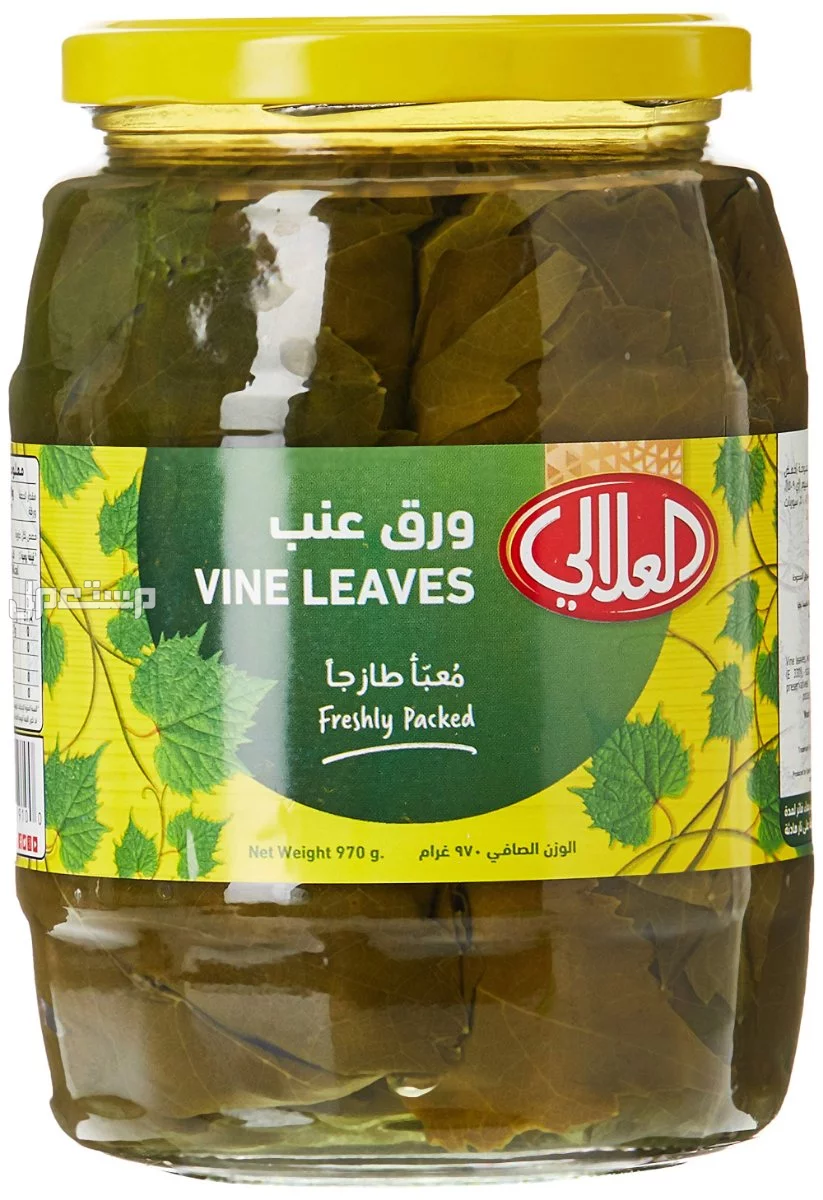 أسعار أفضل انواع ورق عنب معلب جاهز للحشو ورق عنب العلالي