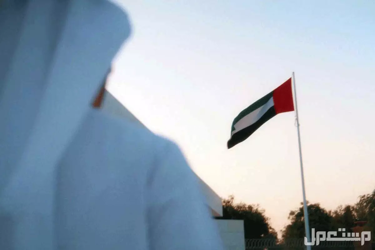 شعر عن اليوم الوطني الاماراتي قصير 2024 علم الامارات يرفرف