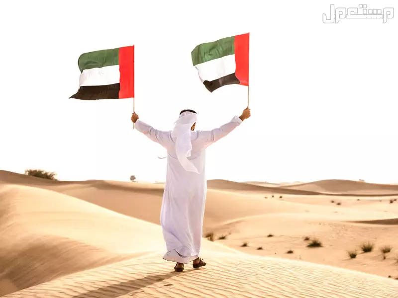 شعر عن اليوم الوطني الاماراتي قصير 2024 رجل يحمل علمين للامارات في الصحراء