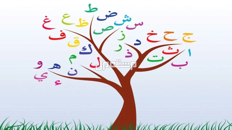 أجمل كلمات عن اليوم العالمي للغة العربية 2024 (صور) أجمل ما يقال في اليوم العالمي للغة العربية