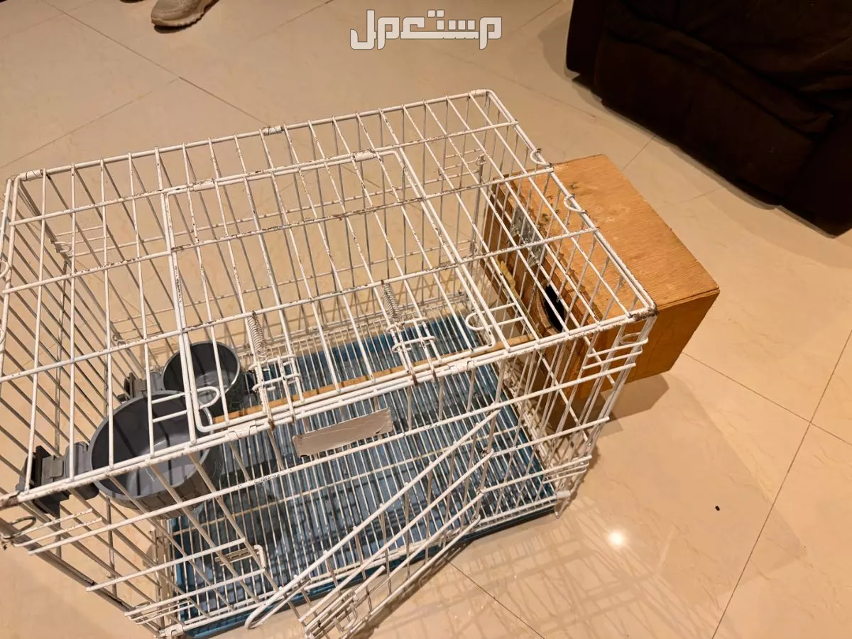 قفص مجهز للبيع في جدة بسعر 200 ريال سعودي