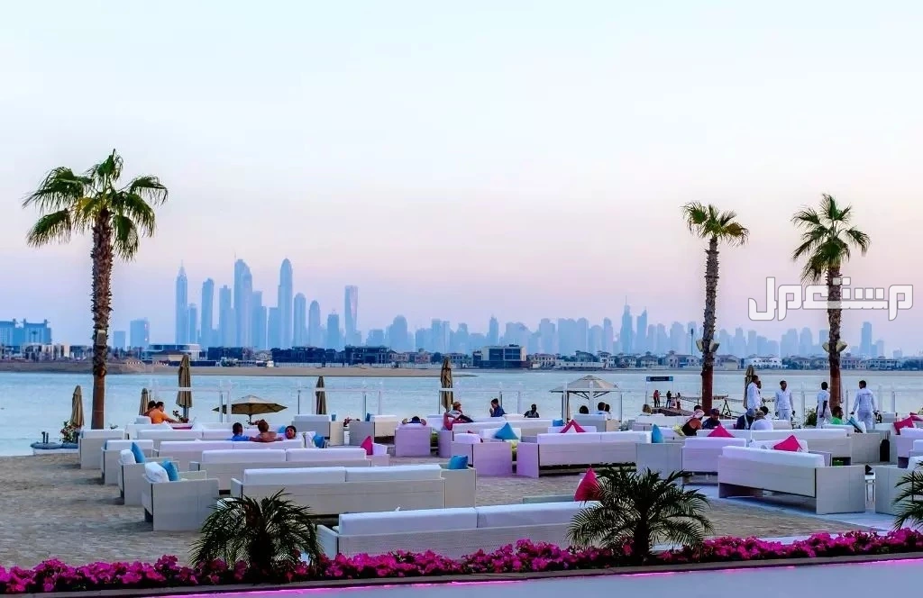 أفضل 10 مطاعم دبي للعوائل في الإمارات 2025 أفضل مطاعم دبي للعوائل