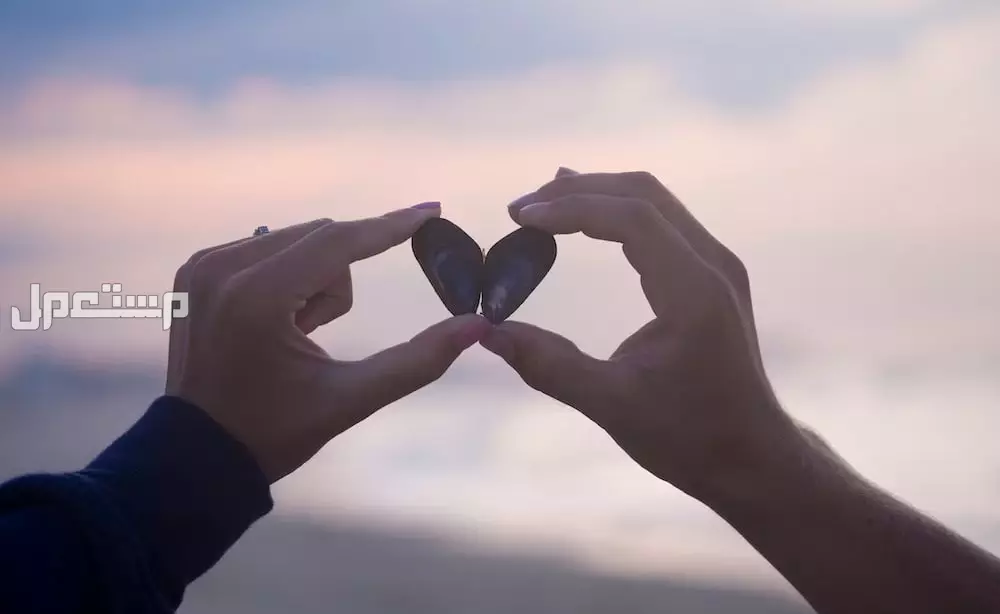 أفكار هدايا للمتزوجين في رأس السنة 2025 هدايا للمتزوجين