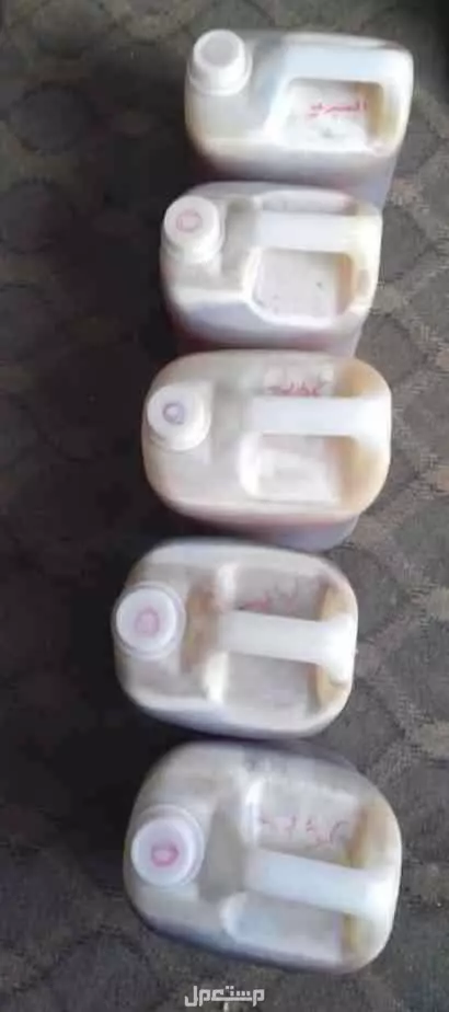 عسل سدر ملكي ( بغية قاطع ) شبواني