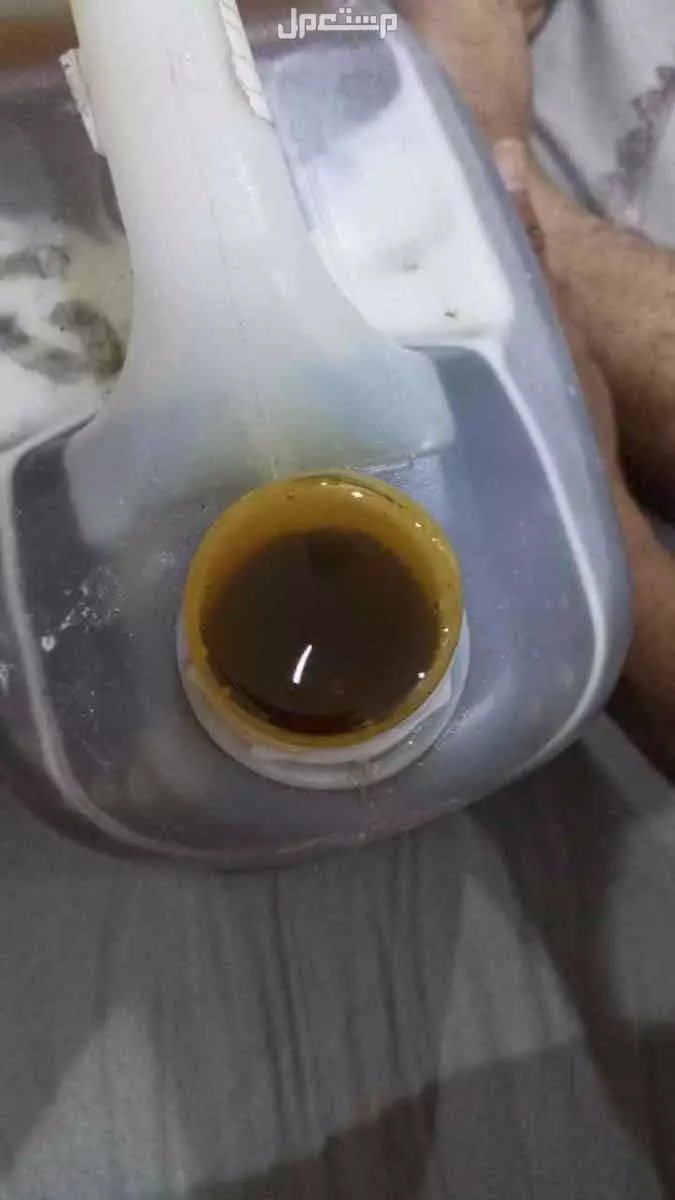 عسل سدر ملكي ( بغية قاطع ) شبواني