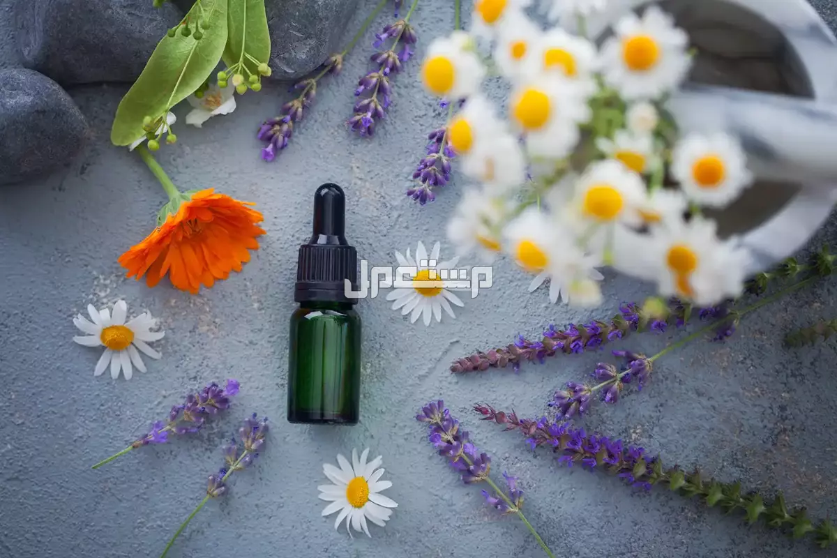 أفضل الزيوت العطرية للفواحة في 2025 ما هي أفضل الزيوت العطرية؟