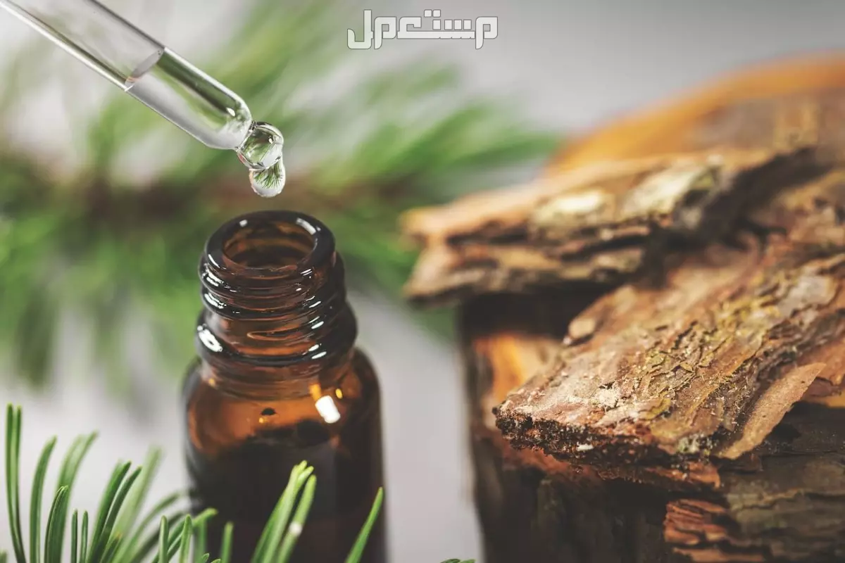 أفضل الزيوت العطرية للفواحة في 2025 زيت اللبان العطري