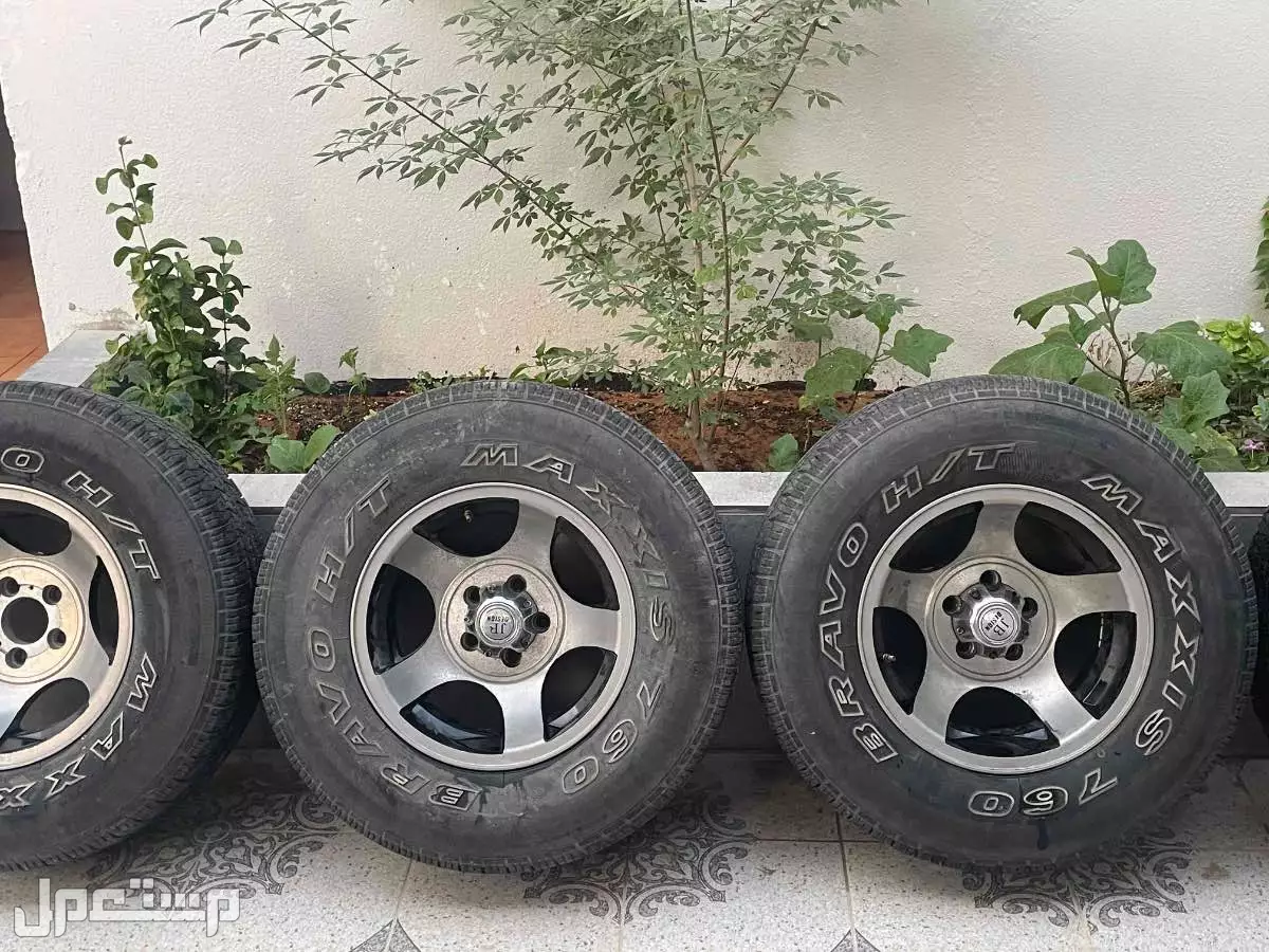 للبيع جنوط اخطبوط مقاس 15 .. 8 انش
