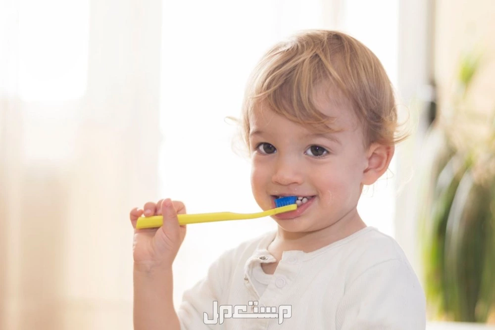 تعرف على الطريقة الصحيحة لتنظيف الأسنان للأطفال تنظيف أسنان الأطفال من 3 إلى 6 سنوات