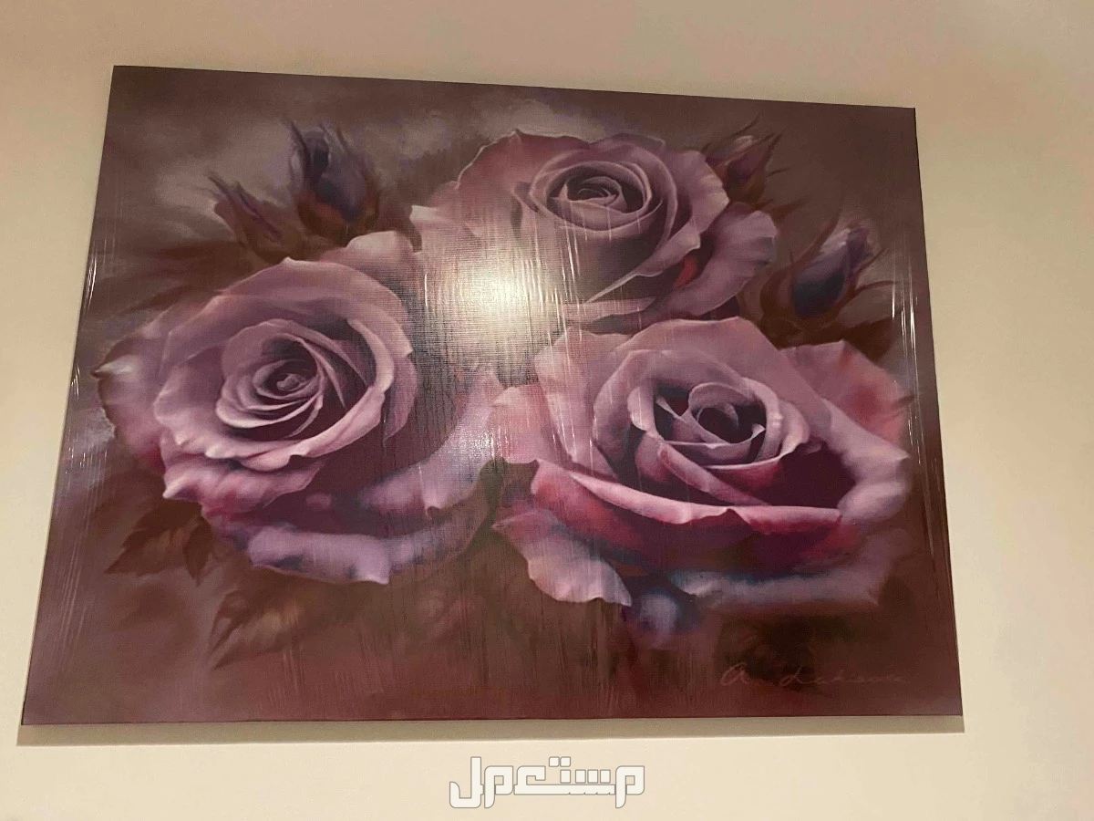 للبيع طابعات وطارلة كوي ومودم ولوحة