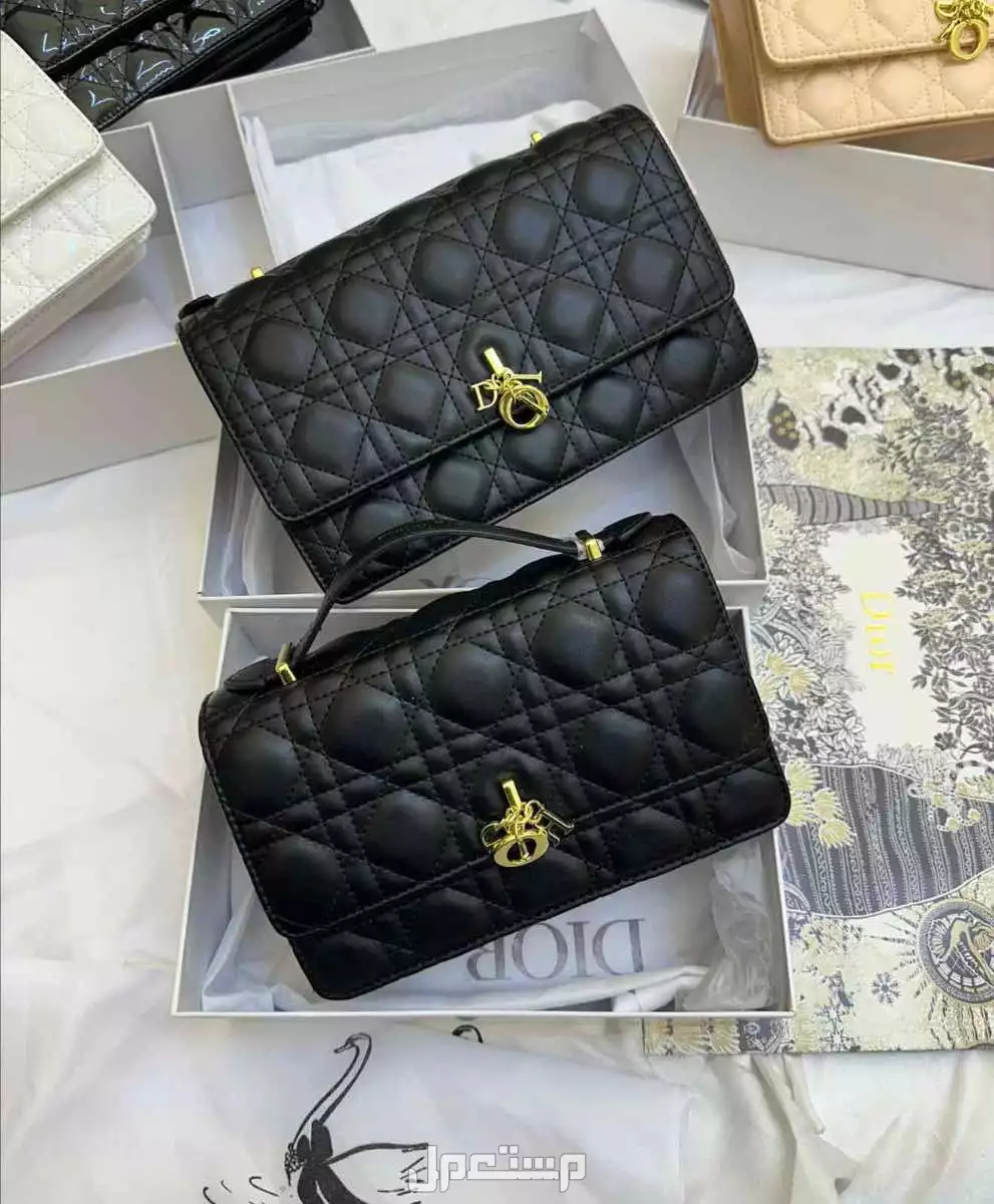 شنط ماركة ديور ماستر كوالتي حجمين