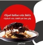 شركة مكافحة حشرات بحائل رش مبيدات الحشرات مكافحة حشرات بحائل 0540349618