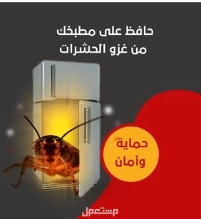 شركة مكافحة حشرات بحائل رش مبيدات الحشرات افضل شركة مكافحة حشرات بحائل 0540349618