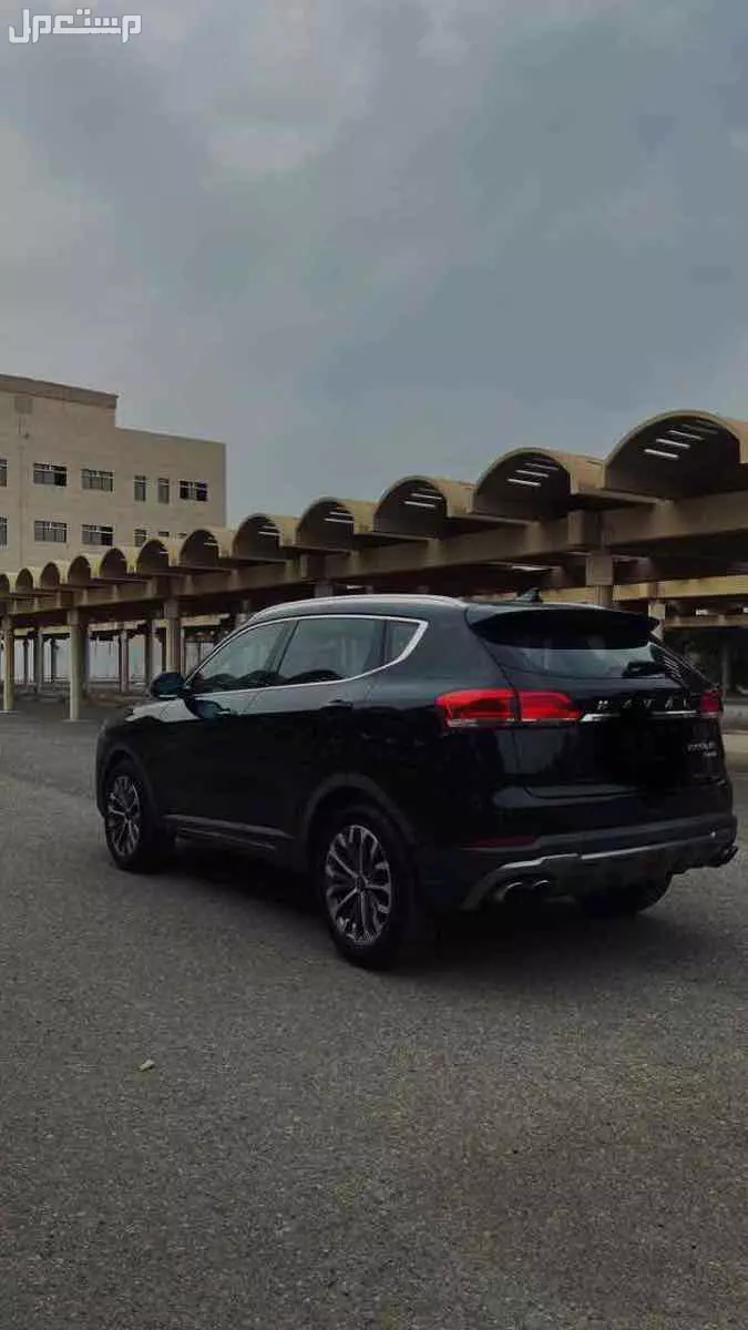 للبيع  في الطائف بسعر 36 ريال سعودي