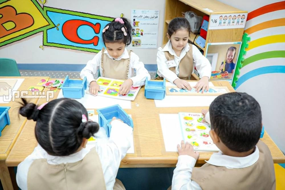 معايير التقويم لمدارس الطفولة المبكرة ورياض الأطفال في السعودية