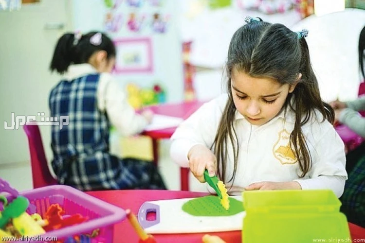 معايير التقويم لمدارس الطفولة المبكرة ورياض الأطفال في السعودية