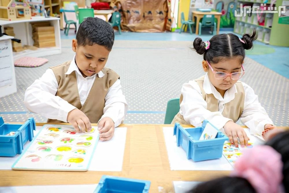 معايير التقويم لمدارس الطفولة المبكرة ورياض الأطفال في السعودية