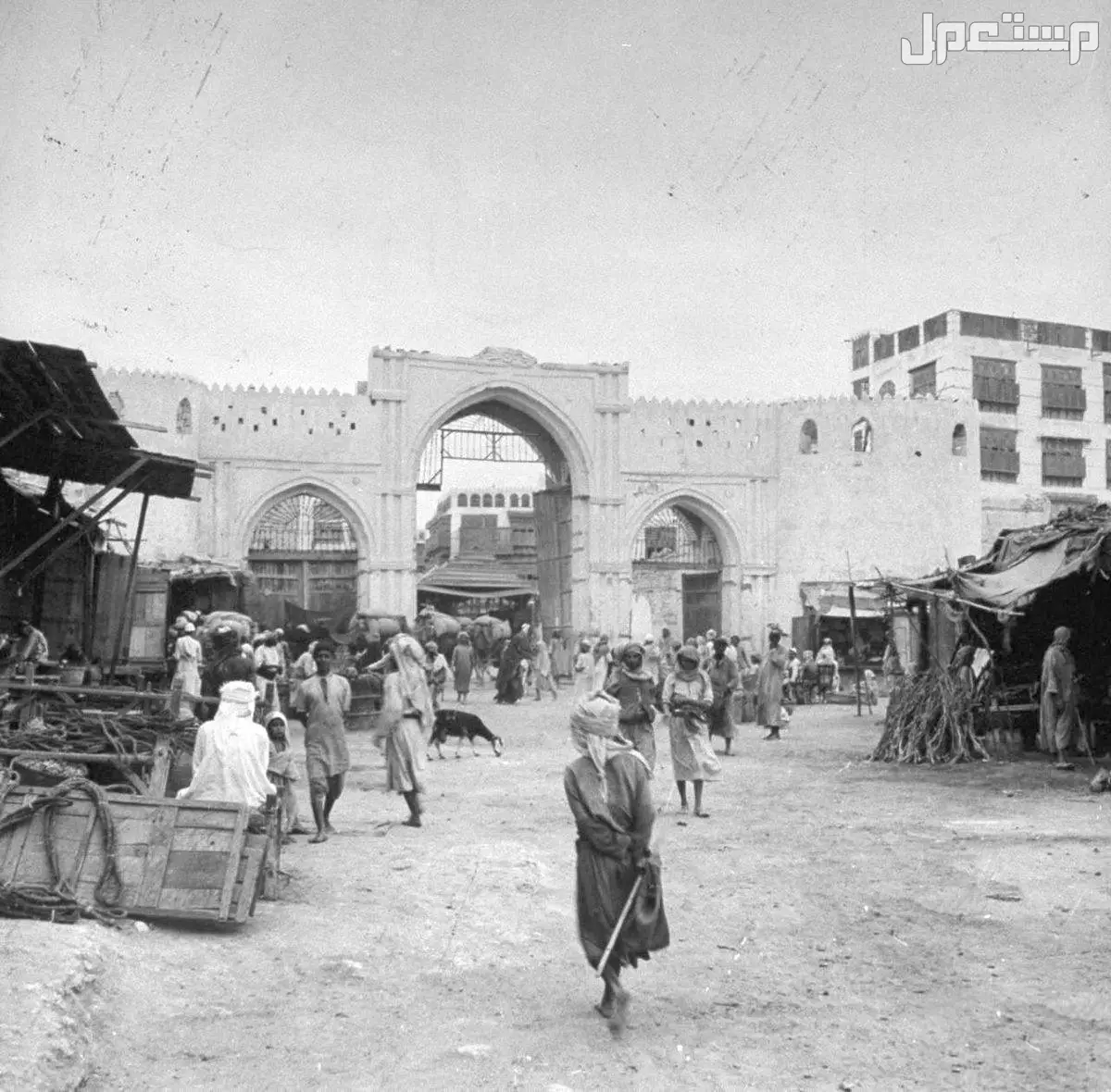 كل ما تريد معرفته عن سور جدة وبواباته التاريخية بالصور معلومات عن سور جدة وبواباته التاريخية