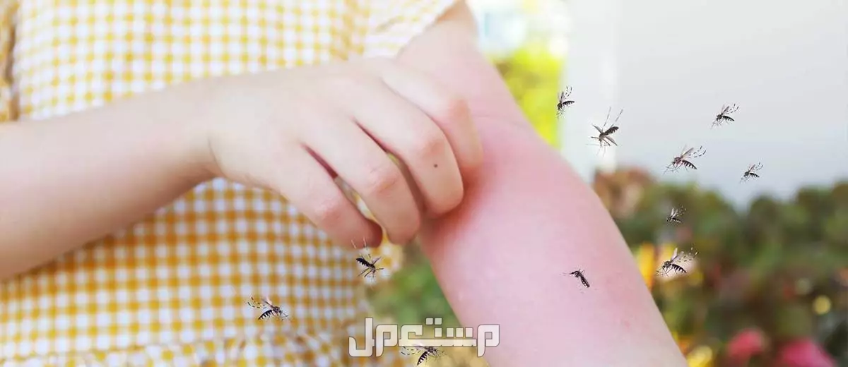 جميع أنواع الحشرات المنزلية وإليك 10 طرق للتخلص منها كيفية التخلص من البعوض