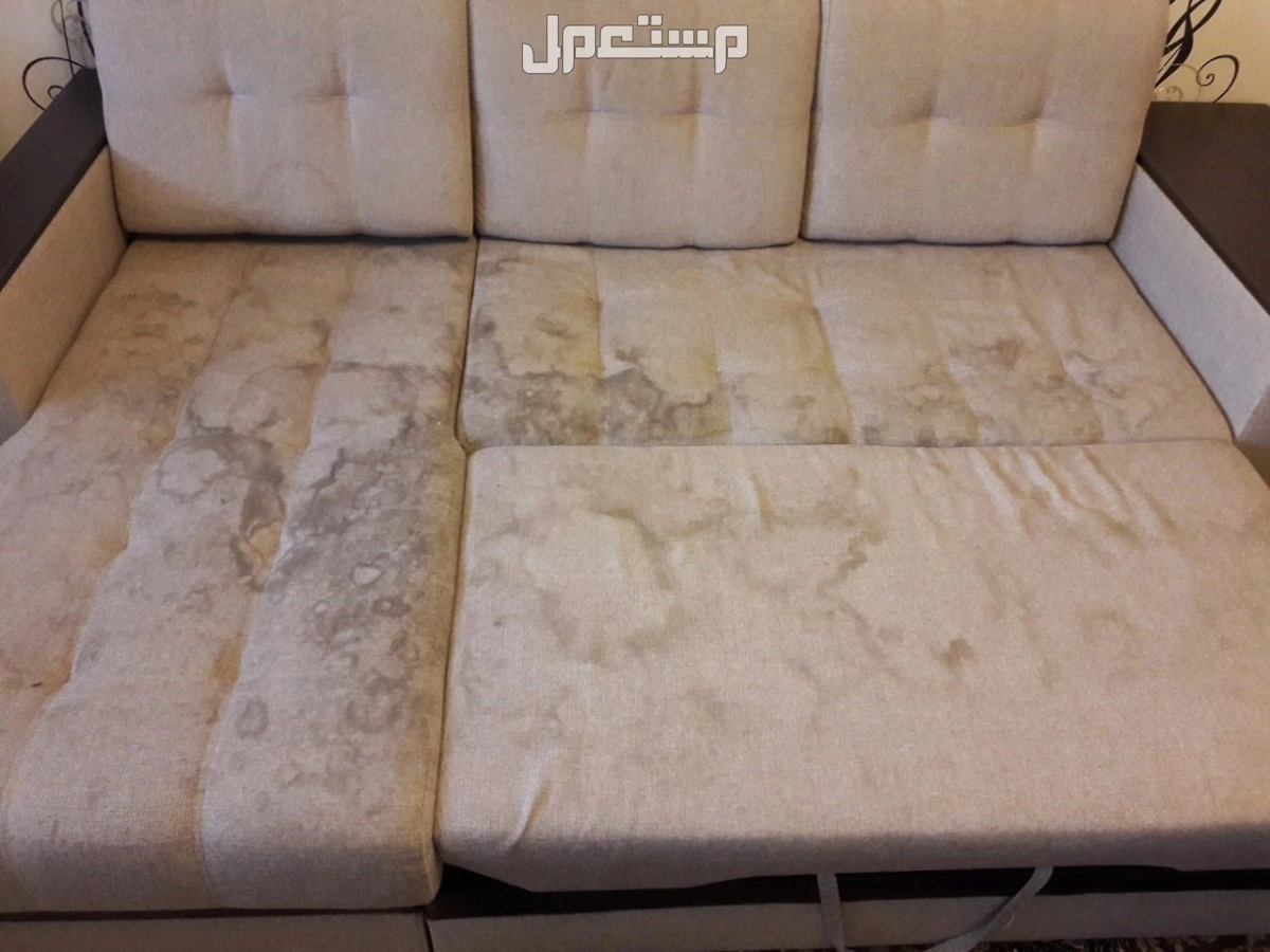 شركه نظافه في أبو ظبي بسعر 100 درهم إماراتي