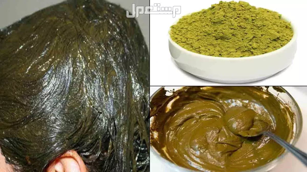 أفضل أنواع الحناء في السعودية للرجال والنساء وأماكن بيعها (صور) أفضل أنواع الحناء في السعودية