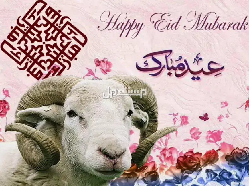 كم باقي على عيد الأضحى 2025؟.. العد التنازلي للعيد 1446 كم باقي على عيد الأضحى 2025؟