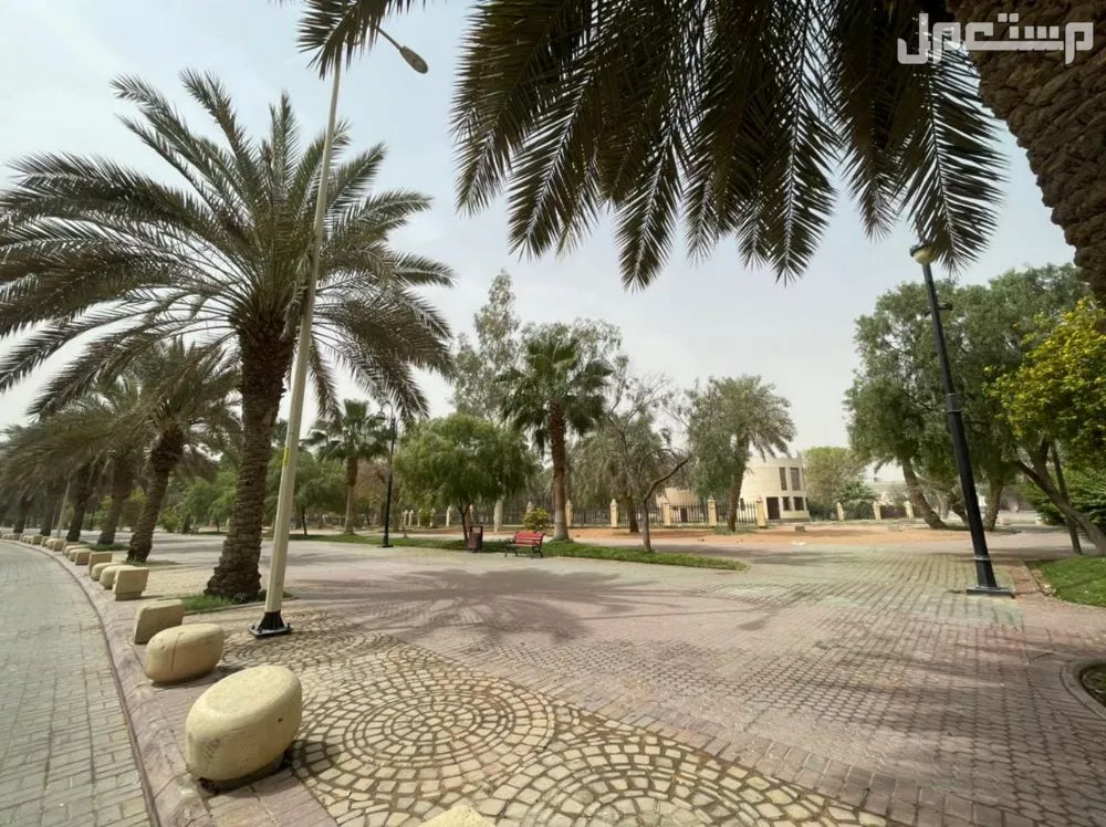 أفضل الأسواق الشعبية في الرياض وأرخصها أسواق الراجحي السويدي