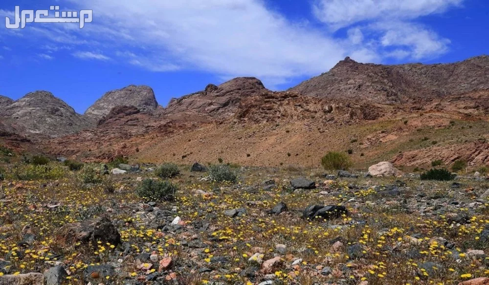 قائمة أسماء الجبال المشهورة في السعودية بالصور جبل فروة