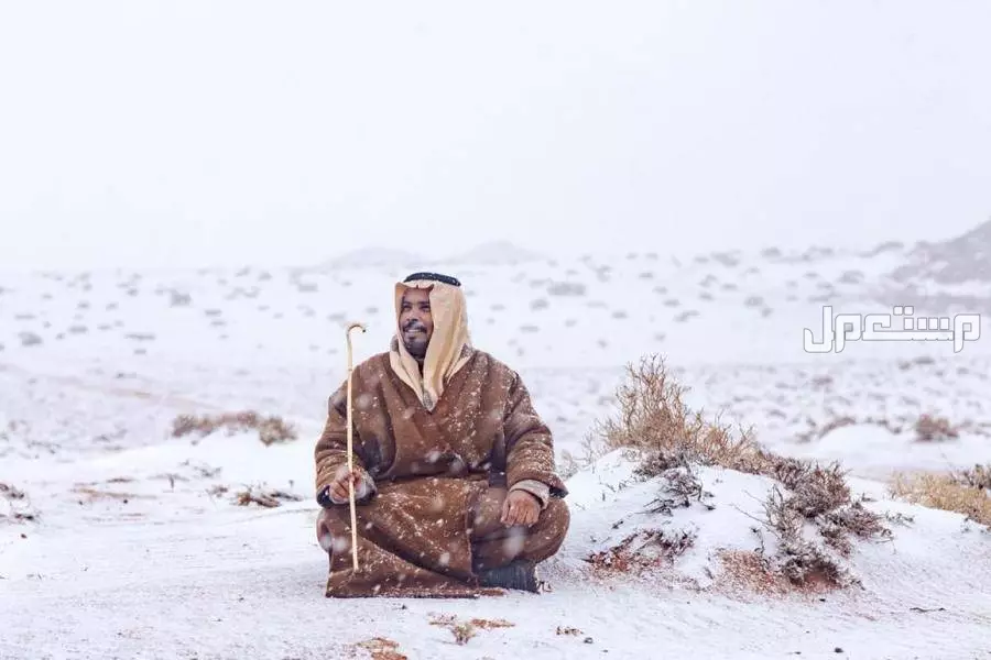 توقعات درجات الحرارة في السعودية في يناير 2025.. وموعد دخول المربعانية 1446 توقعات درجات الحرارة في السعودية في يناير 2025