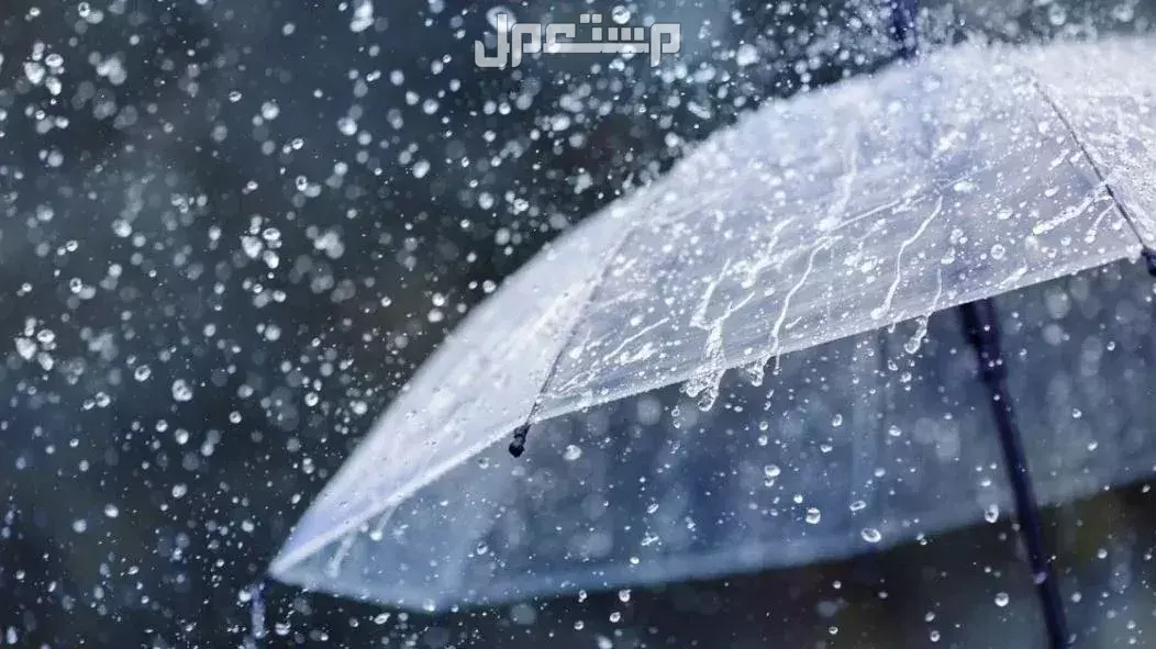 توقعات درجات الحرارة في السعودية في يناير 2025.. وموعد دخول المربعانية 1446 موعد دخول موسم المربعانية الشتوية في السعودية 1446