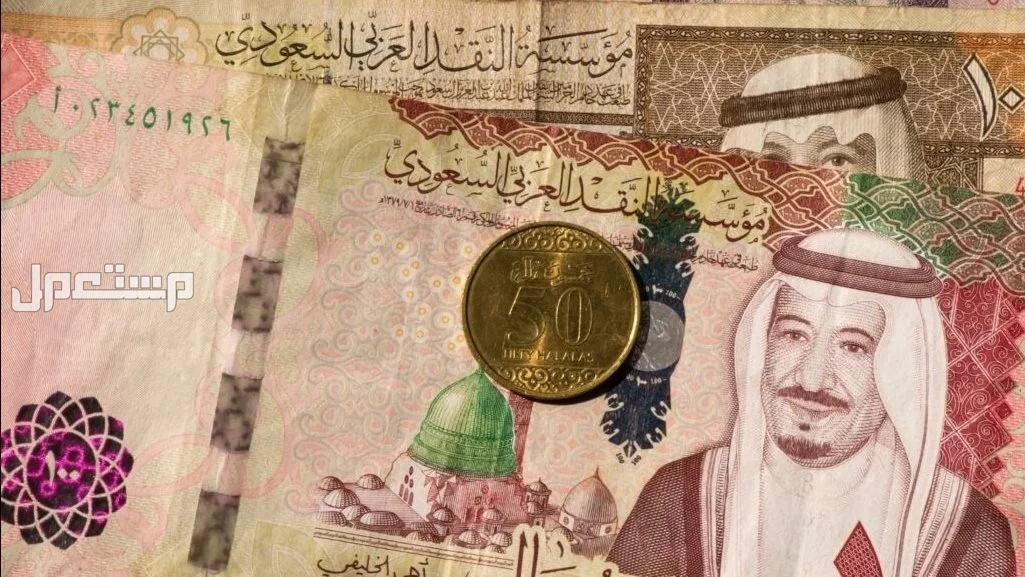 كيفية الحصول على قرض بدون كفيل 1446.. الخطوات والشروط خطوات الحصول على تمويل بدون كفيل في السعودية