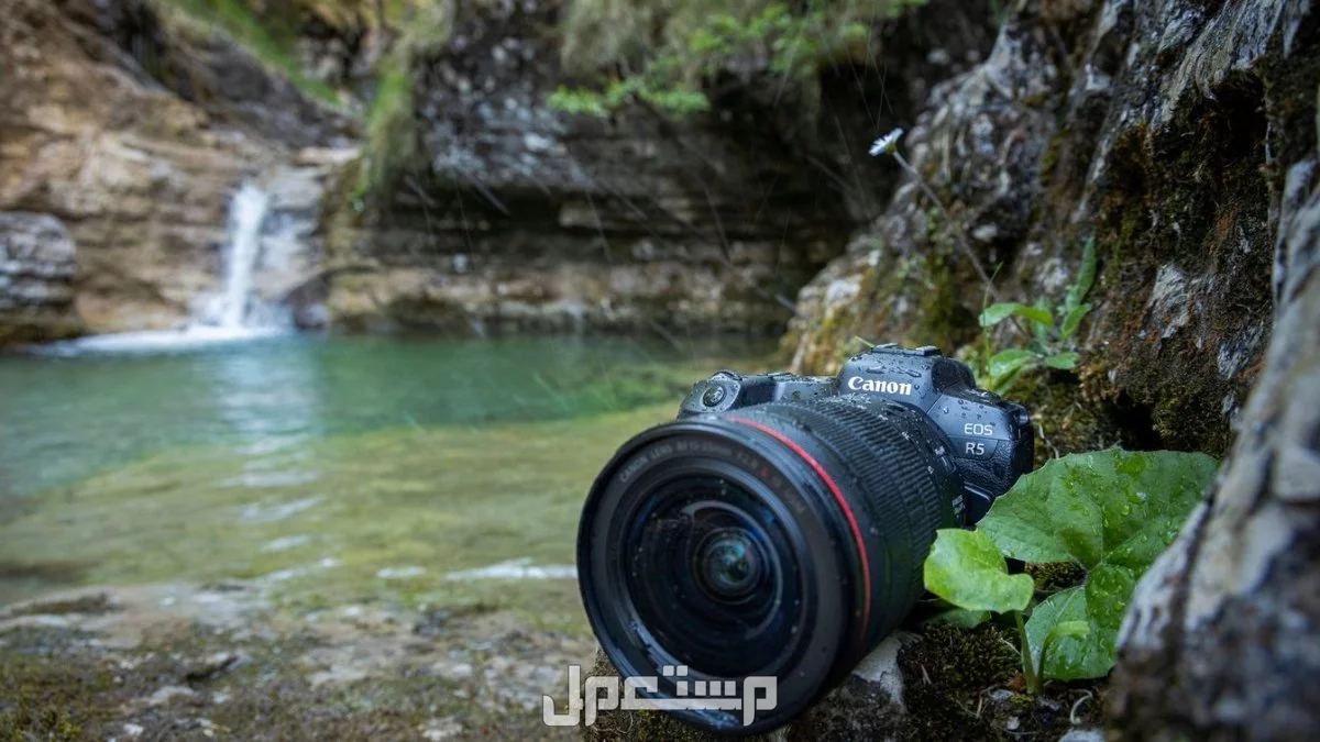 أفضل أنواع كاميرات التصوير 2025 واسعارها كاميرا Canon EOS R5