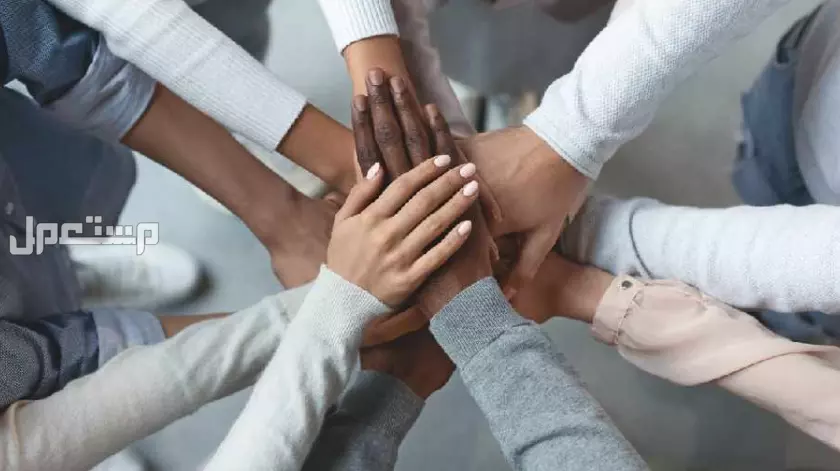جدول المناسبات العالمية 2025.. دليلك لأهم الأيام الدولية اليوم العالمي للاخوة الانسانية